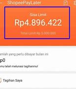 Kenapa Shopeepay Tidak Bisa Dipakai Padahal Saldo Cukup